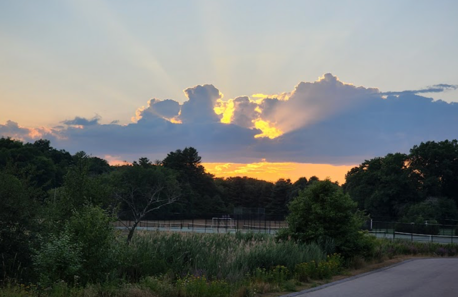 January 2025 – Alumni Newsletter